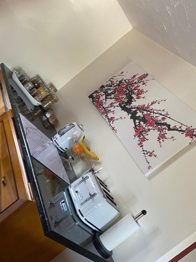 Meadowview Cottage, St Ives View Camborne Esterno foto